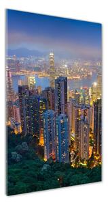 Vertikální Foto obraz sklo tvrzené Noční Hong kong osv-106686696