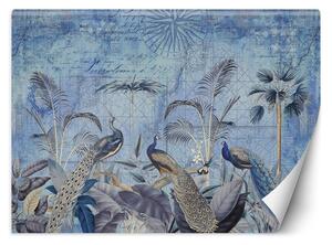 Fototapeta Pávy v modrých tropech - Andrea Haase Materiál: Vliesová, Rozměry: 200 x 140 cm