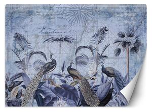 Fototapeta Pávy ve fialových tropech - Andrea Haase Materiál: Vliesová, Rozměry: 200 x 140 cm