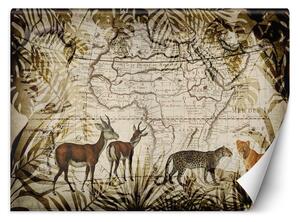 Fototapeta Mapa a divoká zvířata - Andrea Haase Materiál: Vliesová, Rozměry: 200 x 140 cm