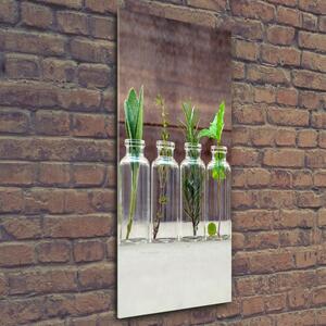 Vertikální Foto obraz skleněný svislý Bylinky ve sklenicích osv-107111601
