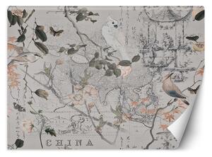 Fototapeta Vintage mapa a ptáci - Andrea Haase Materiál: Vliesová, Rozměry: 200 x 140 cm