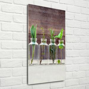 Vertikální Foto obraz skleněný svislý Bylinky ve sklenicích osv-107111601