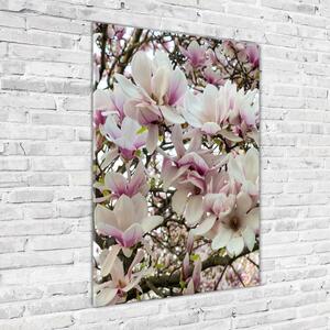 Vertikální Fotoobraz na skle Květy magnolie osv-107287859