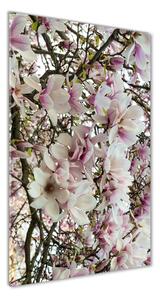 Vertikální Fotoobraz na skle Květy magnolie osv-107287859