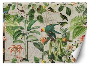Fototapeta Zelení ptáci v tropech - Andrea Haase Materiál: Vliesová, Rozměry: 200 x 140 cm
