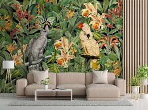 Fototapeta Dva tropickí papoušci - Andrea Haase Materiál: Vliesová, Rozměry: 200 x 140 cm