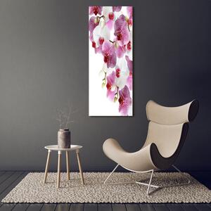 Vertikální Vertikální Foto obraz na plátně do obýváku Orchidej ocv-107506962