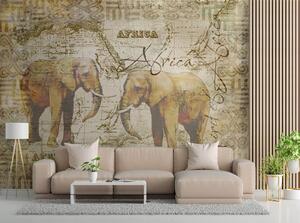 Fototapeta Stará mapa a sloni - Andrea Haase Materiál: Vliesová, Rozměry: 200 x 140 cm