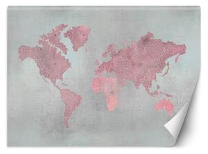 Fototapeta Růžová mapa kontinentů - Andrea Haase Materiál: Vliesová, Rozměry: 200 x 140 cm