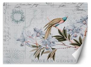 Fototapeta Pták na modré větvi - Andrea Haase Materiál: Vliesová, Rozměry: 200 x 140 cm