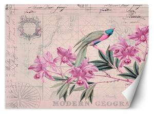 Fototapeta Pták na růžové větvi - Andrea Haase Materiál: Vliesová, Rozměry: 200 x 140 cm