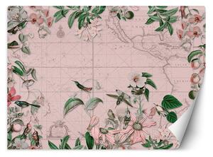 Fototapeta Ptáci kolem kontinentů růžová mapa - Andrea Haase Materiál: Vliesová, Rozměry: 200 x 140 cm