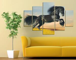 ASIR Obraz na MDF 5ks ČERNÝ KŮŇ 56 x 20 (1) 42 x 17 (2) 28 x 14 cm (2)