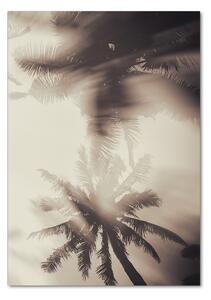 Vertikální Fotoobraz skleněný na stěnu do obýváku Palmy osv-108326121