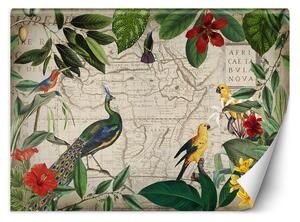 Fototapeta Divoké tropické ptáky - Andrea Haase Materiál: Vliesová, Rozměry: 200 x 140 cm