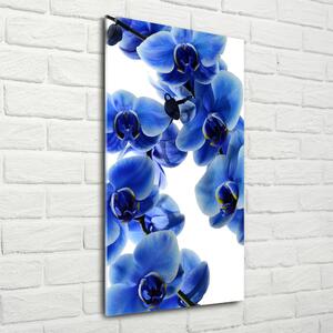 Vertikální Fotoobraz na skle Modrá orchidej osv-108719239