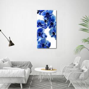 Vertikální Fotoobraz na skle Modrá orchidej osv-108719239