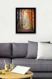ASIR Obraz na MDF s rámem CESTA PODZIMNÍM LESEM 56 x 41 cm
