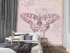 Fototapeta Motýl na růžovém pozadí - Andrea Haase Materiál: Vliesová, Rozměry: 100 x 100 cm