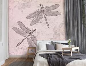 Fototapeta Vážky na růžovém pozadí - Andrea Haase Materiál: Vliesová, Rozměry: 100 x 100 cm