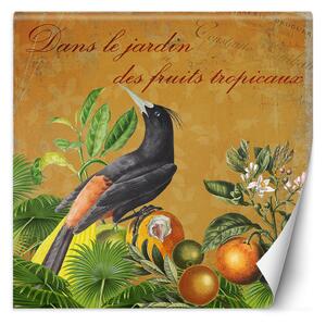 Fototapeta Ptačí sentiment - Andrea Haase Materiál: Vliesová, Rozměry: 100 x 100 cm