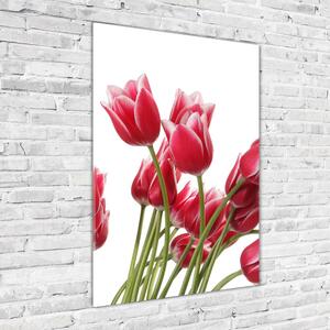 Vertikální Fotoobraz na skle Červené tulipány osv-109710799