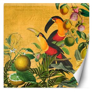 Fototapeta Papoušci v listech abstraktních zvířat - Andrea Haase Materiál: Vliesová, Rozměry: 100 x 100 cm
