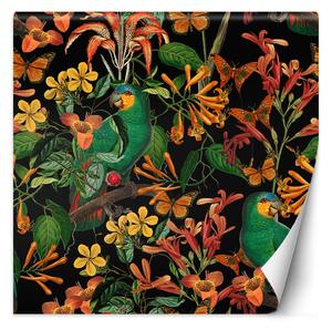 Fototapeta Pták na pozadí barevných listů - Andrea Haase Materiál: Vliesová, Rozměry: 100 x 100 cm