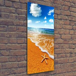 Vertikální Fotoobraz na skle Hvězdice na pláži osv-110094883