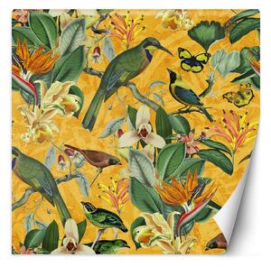 Fototapeta Žlutý abstraktní ptáci na zelené větvi - Andrea Haase Materiál: Vliesová, Rozměry: 100 x 100 cm