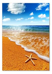 Vertikální Fotoobraz na skle Hvězdice na pláži osv-110094883