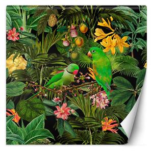 Fototapeta Zelené listy ptáci příroda - Andrea Haase Materiál: Vliesová, Rozměry: 100 x 100 cm