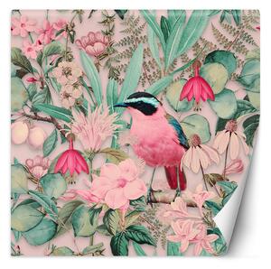 Fototapeta Růžový pták a příroda - Andrea Haase Materiál: Vliesová, Rozměry: 100 x 100 cm