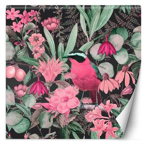 Fototapeta Barevné zvířata na přírodu ptáků - Andrea Haase Materiál: Vliesová, Rozměry: 100 x 100 cm