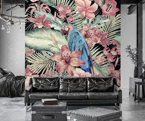 Fototapeta Papoušek na pozadí růžových listů - Andrea Haase Materiál: Vliesová, Rozměry: 100 x 100 cm