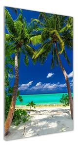 Vertikální Foto obraz skleněný svislý Tropická pláž osv-110568122
