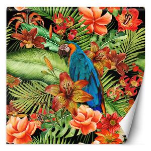 Fototapeta Zelený vták, oranžové listy a príroda - Andrea Haase Materiál: Vliesová, Rozměry: 100 x 100 cm