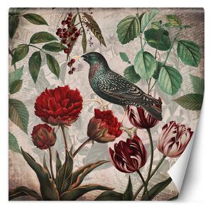 Fototapeta Abstraktní příroda ptáků - Andrea Haase Materiál: Vliesová, Rozměry: 100 x 100 cm