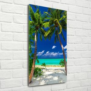 Vertikální Foto obraz skleněný svislý Tropická pláž osv-110568122