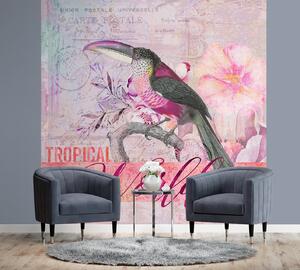 Fototapeta Papoušek v růžově šedé přírodě - Andrea Haase Materiál: Vliesová, Rozměry: 100 x 100 cm