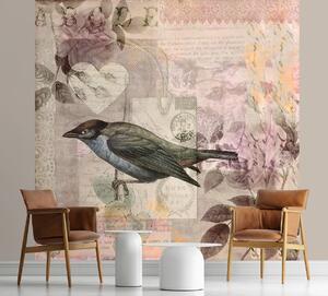 Fototapeta Pták s jemnými růžovými akcenty na pozadí - Andrea Haase Materiál: Vliesová, Rozměry: 100 x 100 cm