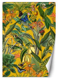 Fototapeta Barevné květy listy přírody - Andrea Haase Materiál: Vliesová, Rozměry: 100 x 140 cm