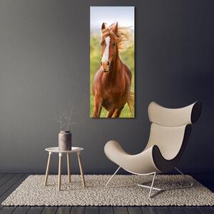 Vertikální Foto obraz sklo tvrzené Kůň v poklusu osv-111439181