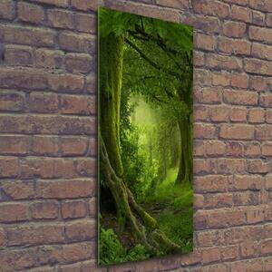 Vertikální Fotoobraz na skle Tripická džungle osv-112054688