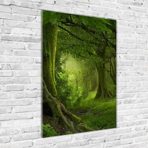 Vertikální Fotoobraz na skle Tripická džungle osv-112054688