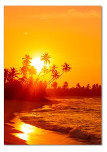 Vertikální Foto obraz skleněný svislý Tropická pláž osv-112375136