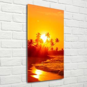Vertikální Foto obraz skleněný svislý Tropická pláž osv-112375136