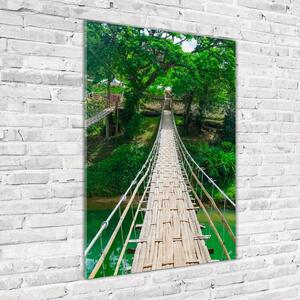 Vertikální Foto obraz sklo tvrzené Visací most osv-112462621