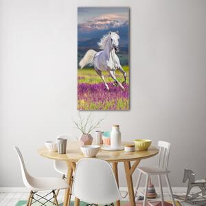 Vertikální Fotoobraz na skle Bílý kůň cval osv-113343319